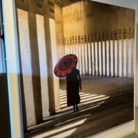 Phonix Vision Art panel XL
